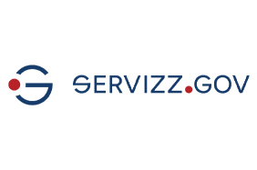 Government Service